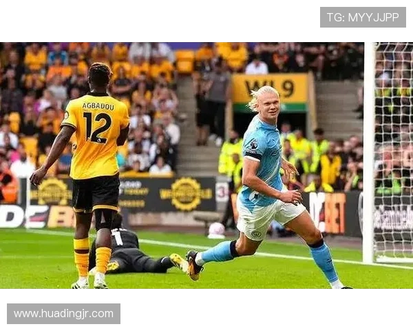 英足总重罚狼队主帅佩雷拉不当行为遭15000镑处罚警示联赛纪律